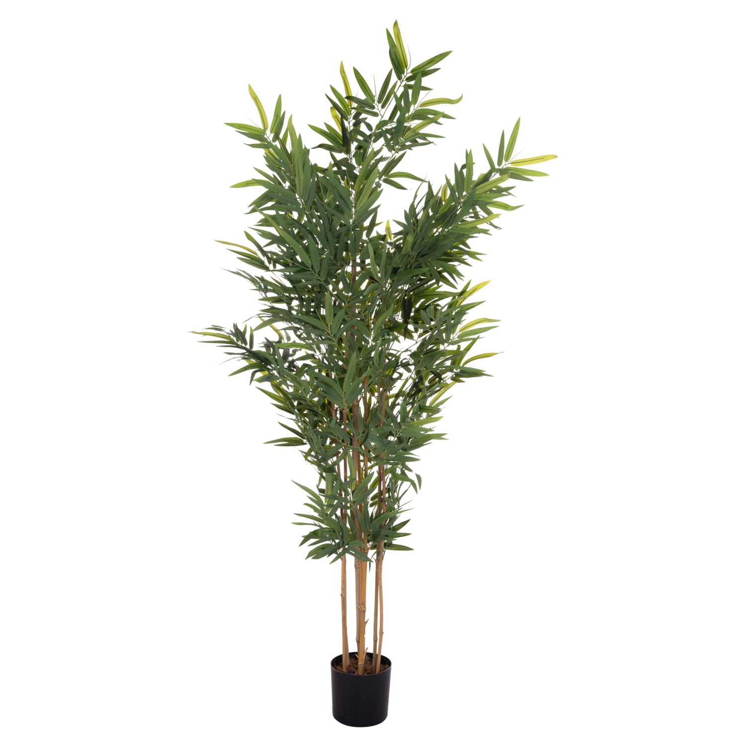 ΔΙΑΚΟΣΜΗΤΙΚΟ ΣΥΝΘΕΤΙΚΟ ΦΥΤΟ HM4737 BAMBOO ΣΕ ΓΛΑΣΤΡΑ 20x95x200Υεκ. - Pakobazaar