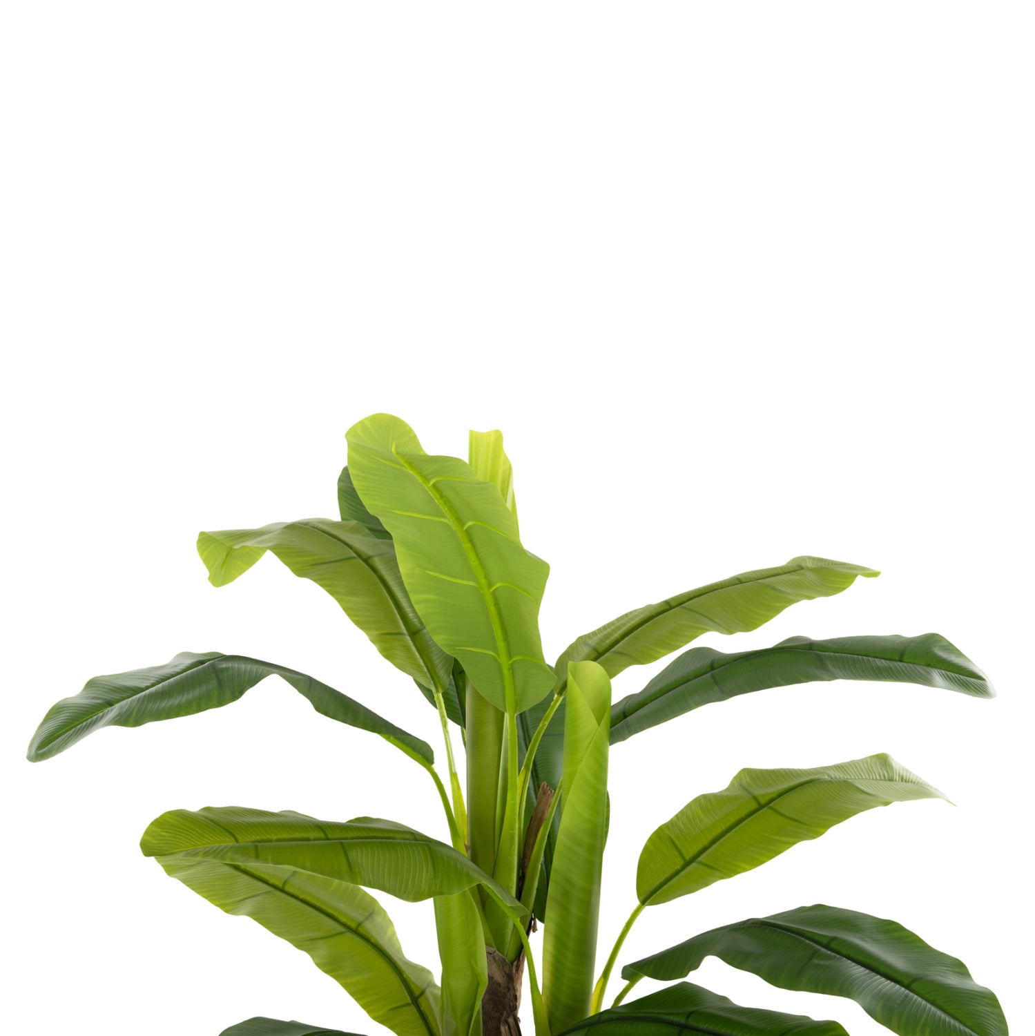 ΔΙΑΚΟΣΜΗΤΙΚΟ ΣΥΝΘΕΤΙΚΟ ΦΥΤΟ HM7968 ΔΕΝΤΡΟ ΜΠΑΝΑΝΑΣ ΣΕ ΓΛΑΣΤΡΑ 123Υεκ. - Pakobazaar