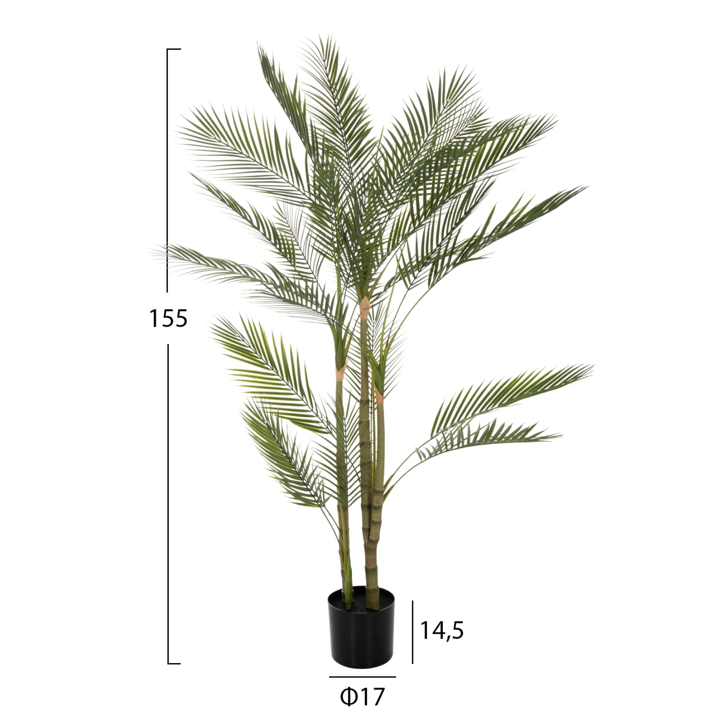 ΔΙΑΚΟΣΜΗΤΙΚΟ ΣΥΝΘΕΤΙΚΟ ΦΥΤΟ HM7970 KWAI TREE ΣΕ ΓΛΑΣΤΡΑ Φ17x14,5-155Υεκ. - Pakobazaar