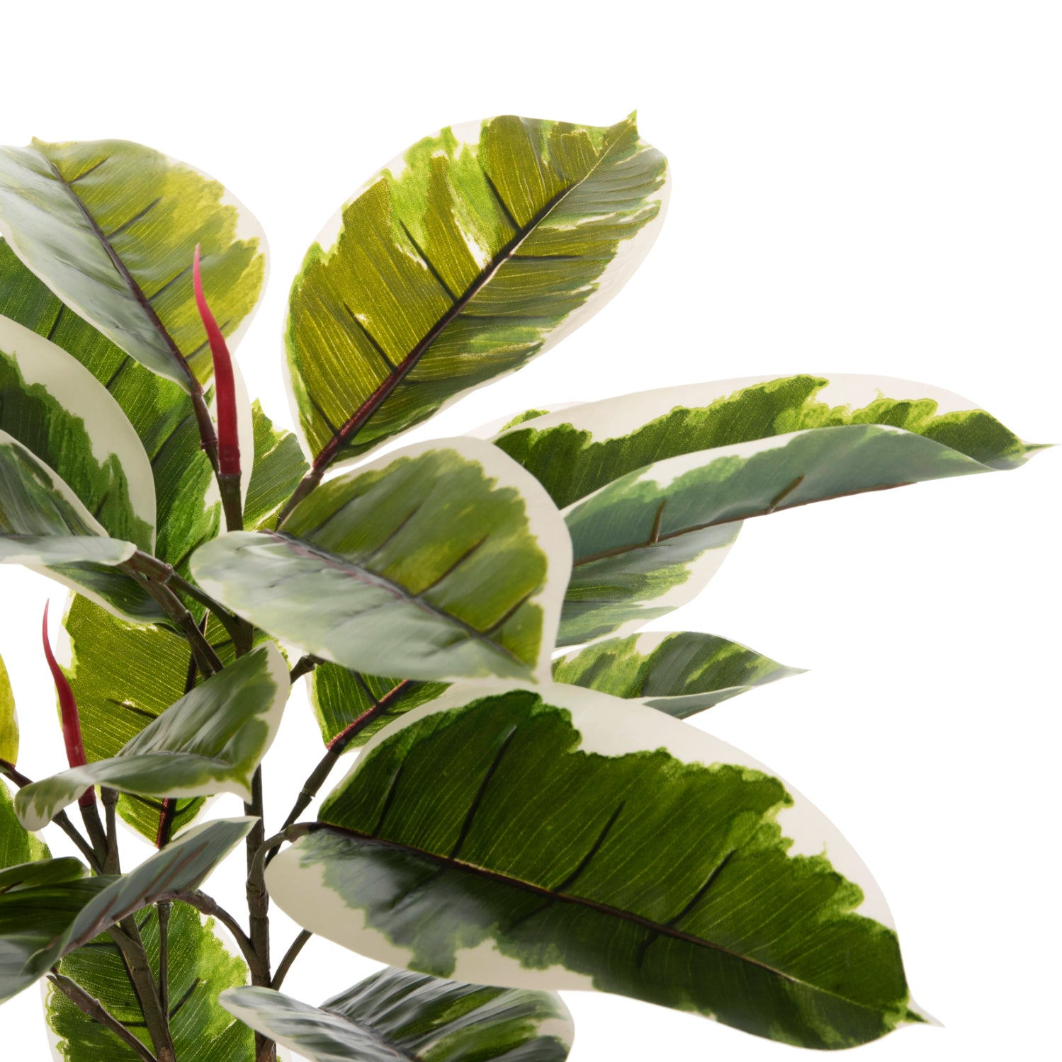 ΔΙΑΚΟΣΜΗΤΙΚΟ ΣΥΝΘΕΤΙΚΟ ΦΥΤΟ HM7972 OAK LEAF ΣΕ ΓΛΑΣΤΡΑ 85Υεκ. - Pakobazaar