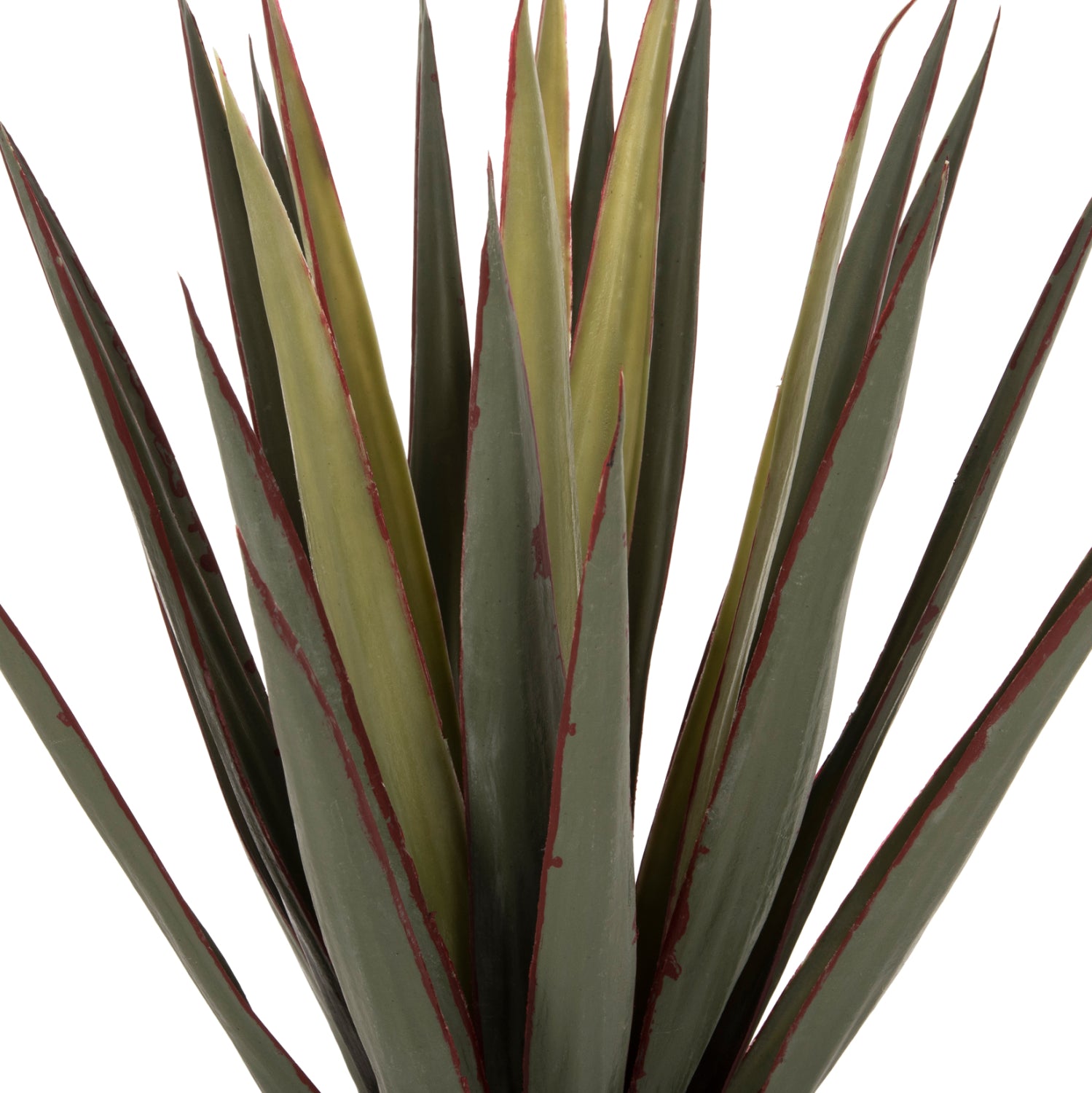 ΔΙΑΚΟΣΜΗΤΙΚΟ ΣΥΝΘΕΤΙΚΟ ΦΥΤΟ HM7985 SISAL AGAVE ΣΕ ΓΛΑΣΤΡΑ  Φ13,5x13-76Υεκ. - Pakobazaar