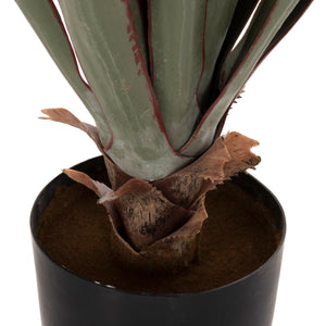 ΔΙΑΚΟΣΜΗΤΙΚΟ ΣΥΝΘΕΤΙΚΟ ΦΥΤΟ HM7985 SISAL AGAVE ΣΕ ΓΛΑΣΤΡΑ  Φ13,5x13-76Υεκ. - Pakobazaar