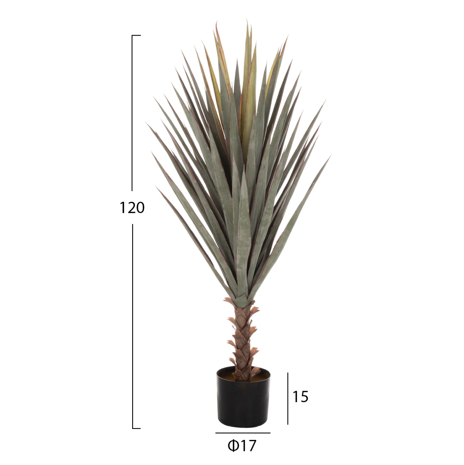 ΔΙΑΚΟΣΜΗΤΙΚΟ ΣΥΝΘΕΤΙΚΟ ΦΥΤΟ HM7987 SISAL AGAVE ΣΕ ΓΛΑΣΤΡΑ 120Υεκ. - Pakobazaar