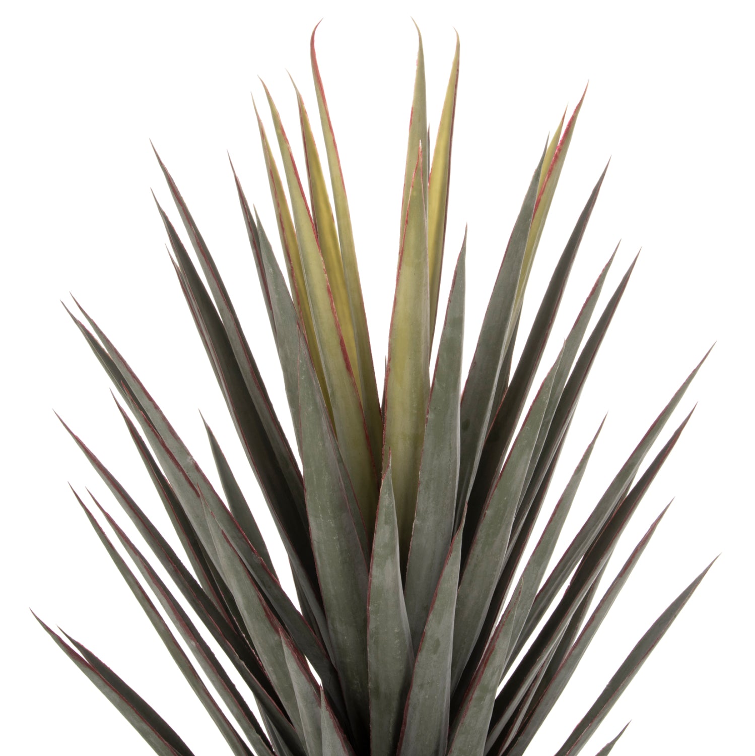 ΔΙΑΚΟΣΜΗΤΙΚΟ ΣΥΝΘΕΤΙΚΟ ΦΥΤΟ HM7987 SISAL AGAVE ΣΕ ΓΛΑΣΤΡΑ 120Υεκ. - Pakobazaar
