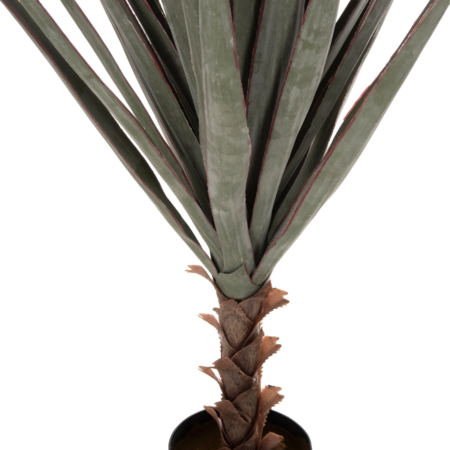 ΔΙΑΚΟΣΜΗΤΙΚΟ ΣΥΝΘΕΤΙΚΟ ΦΥΤΟ HM7987 SISAL AGAVE ΣΕ ΓΛΑΣΤΡΑ 120Υεκ. - Pakobazaar
