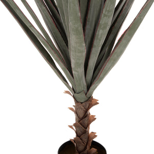 ΔΙΑΚΟΣΜΗΤΙΚΟ ΣΥΝΘΕΤΙΚΟ ΦΥΤΟ HM7987 SISAL AGAVE ΣΕ ΓΛΑΣΤΡΑ 120Υεκ. - Pakobazaar