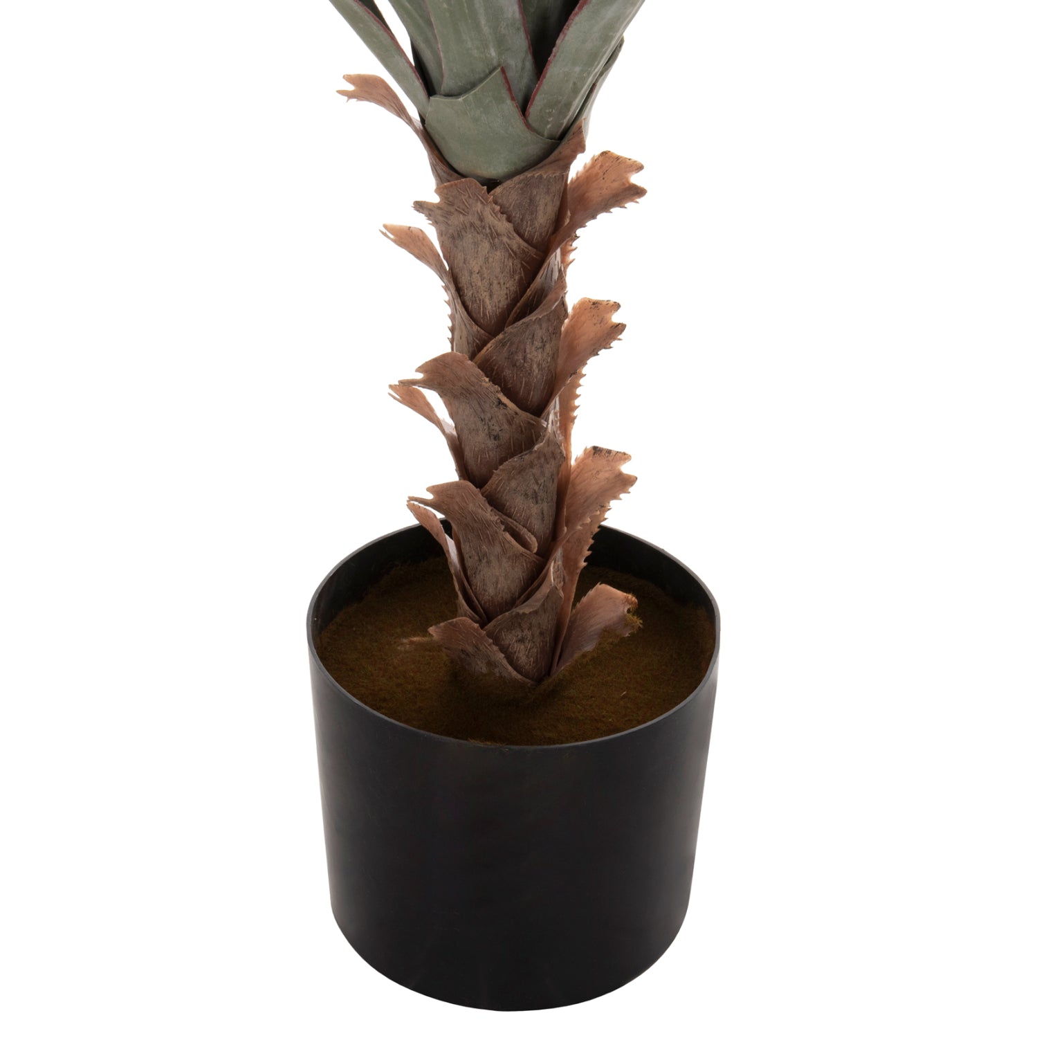 ΔΙΑΚΟΣΜΗΤΙΚΟ ΣΥΝΘΕΤΙΚΟ ΦΥΤΟ HM7987 SISAL AGAVE ΣΕ ΓΛΑΣΤΡΑ 120Υεκ. - Pakobazaar