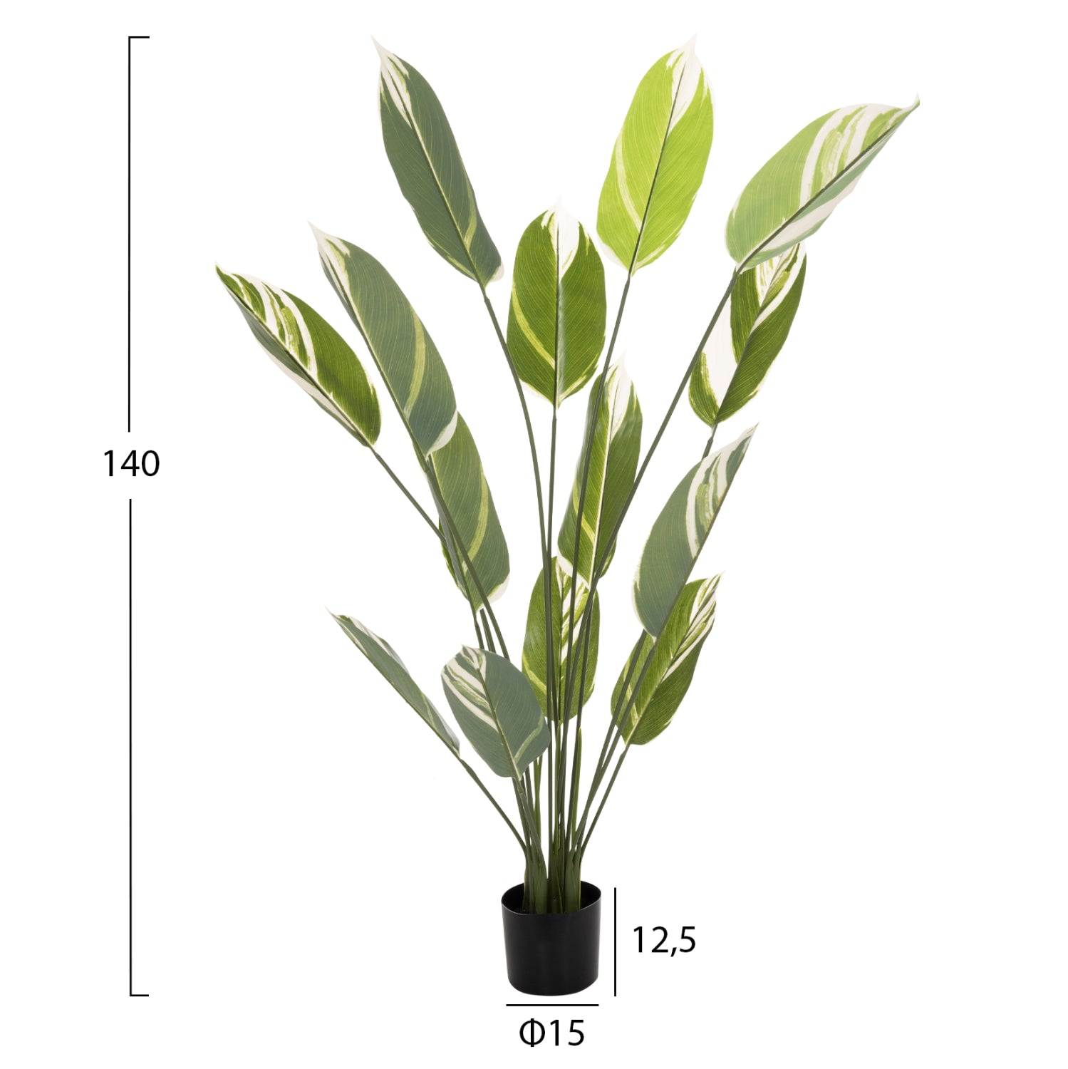 ΔΙΑΚΟΣΜΗΤΙΚΟ ΣΥΝΘΕΤΙΚΟ ΦΥΤΟ HM7997 CALATHEA ΣΕ ΓΛΑΣΤΡΑ 140Υεκ. - Pakobazaar