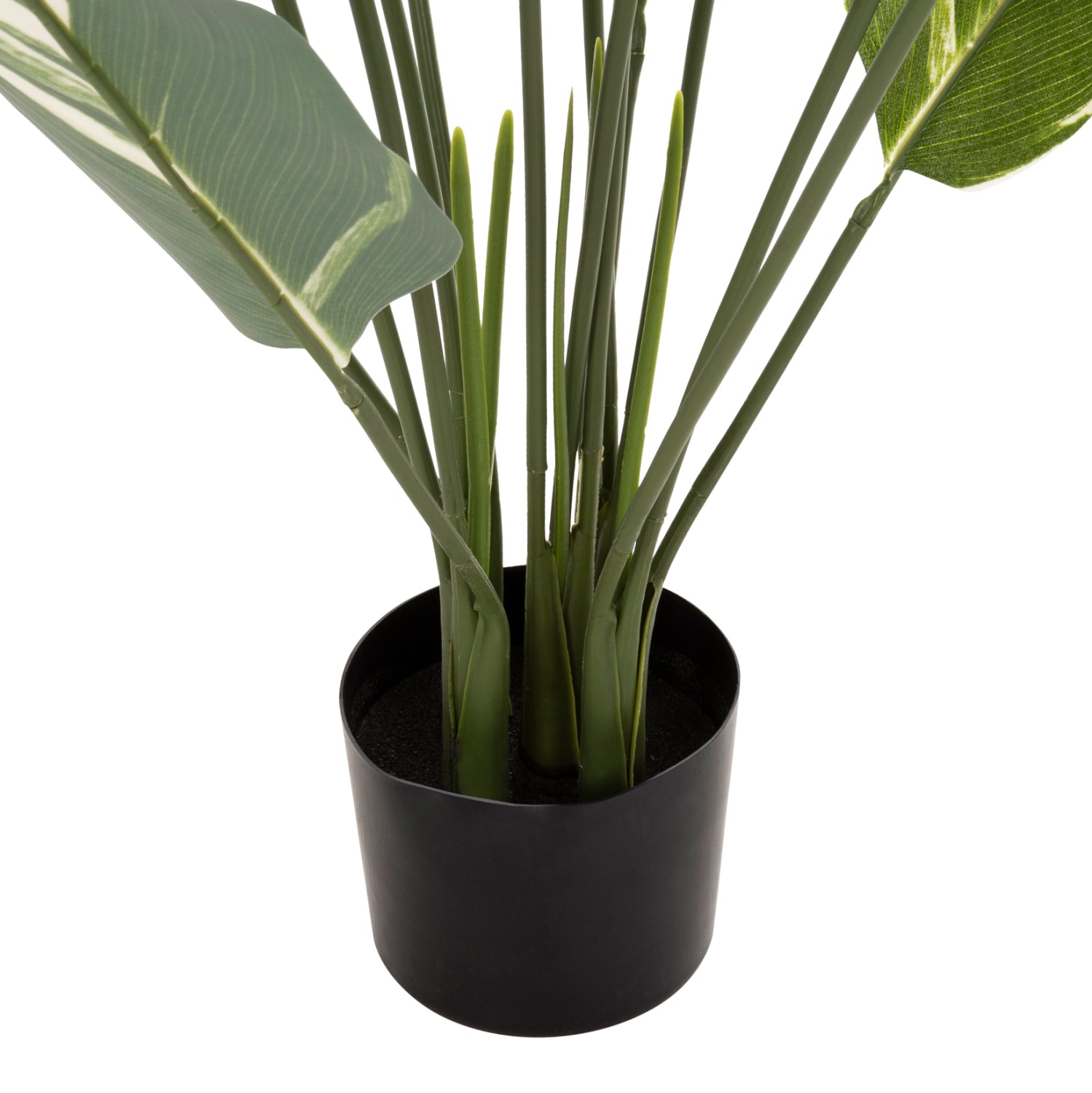 ΔΙΑΚΟΣΜΗΤΙΚΟ ΣΥΝΘΕΤΙΚΟ ΦΥΤΟ HM7997 CALATHEA ΣΕ ΓΛΑΣΤΡΑ 140Υεκ. - Pakobazaar