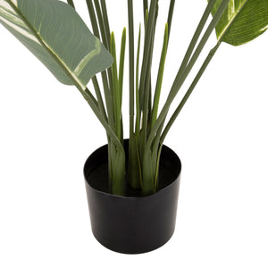 ΔΙΑΚΟΣΜΗΤΙΚΟ ΣΥΝΘΕΤΙΚΟ ΦΥΤΟ HM7997 CALATHEA ΣΕ ΓΛΑΣΤΡΑ 140Υεκ. - Pakobazaar