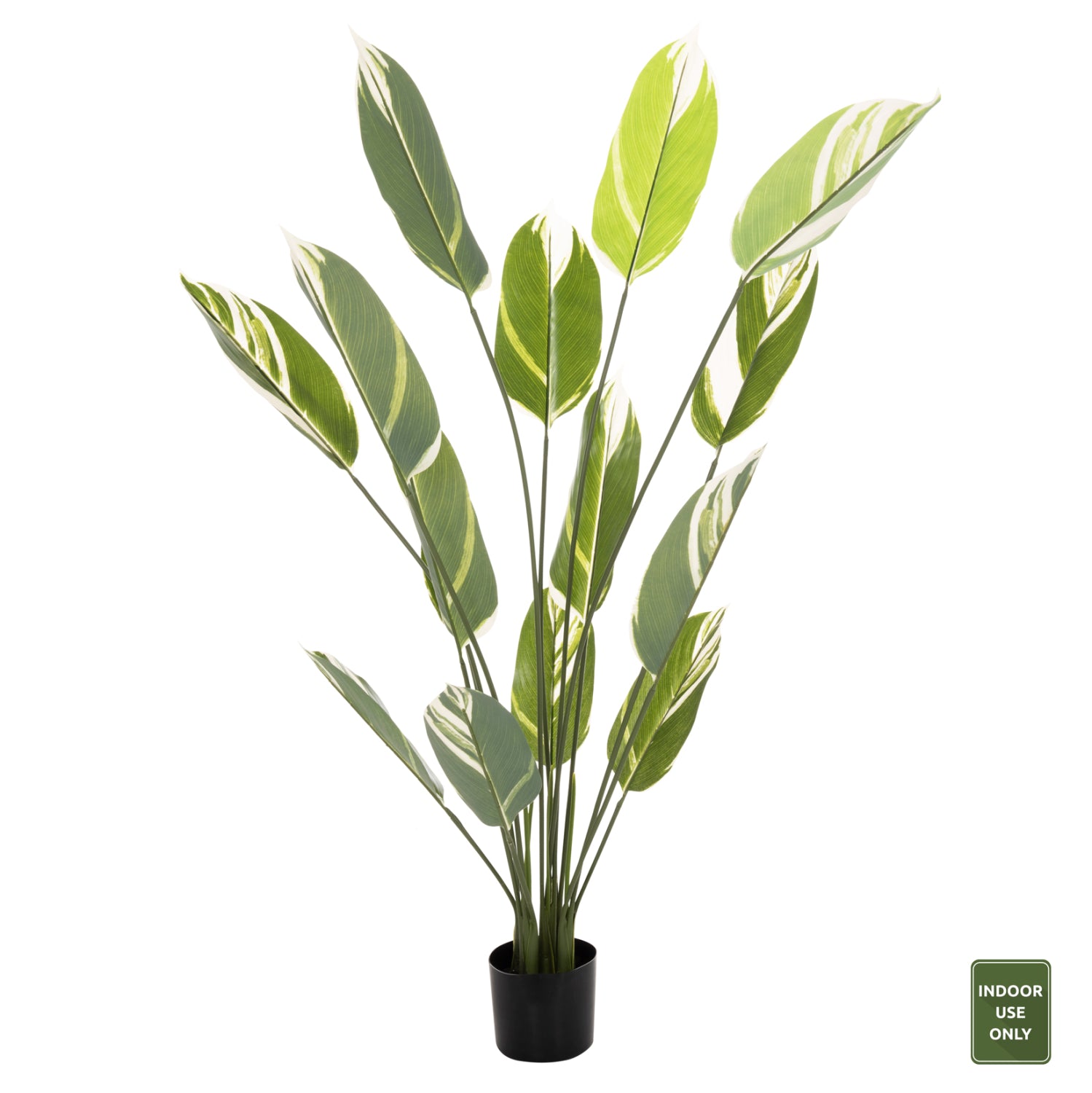 ΔΙΑΚΟΣΜΗΤΙΚΟ ΣΥΝΘΕΤΙΚΟ ΦΥΤΟ HM7997 CALATHEA ΣΕ ΓΛΑΣΤΡΑ 140Υεκ. - Pakobazaar