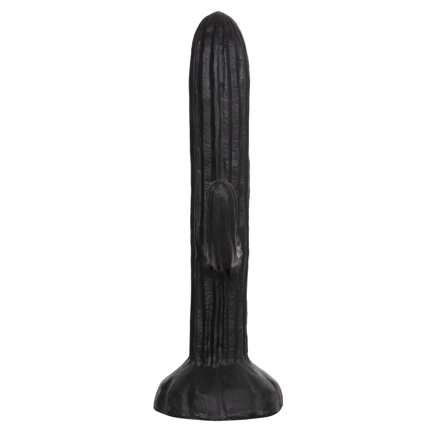 ΔΙΑΚΟΣΜΗΤΙΚΟΣ ΚΑΚΤΟΣ ΔΑΠΕΔΟΥ CACTUS HM4386.01L ΓΥΨΟΣ ΣΕ ΜΑΥΡΟ 63x37x150Υεκ.