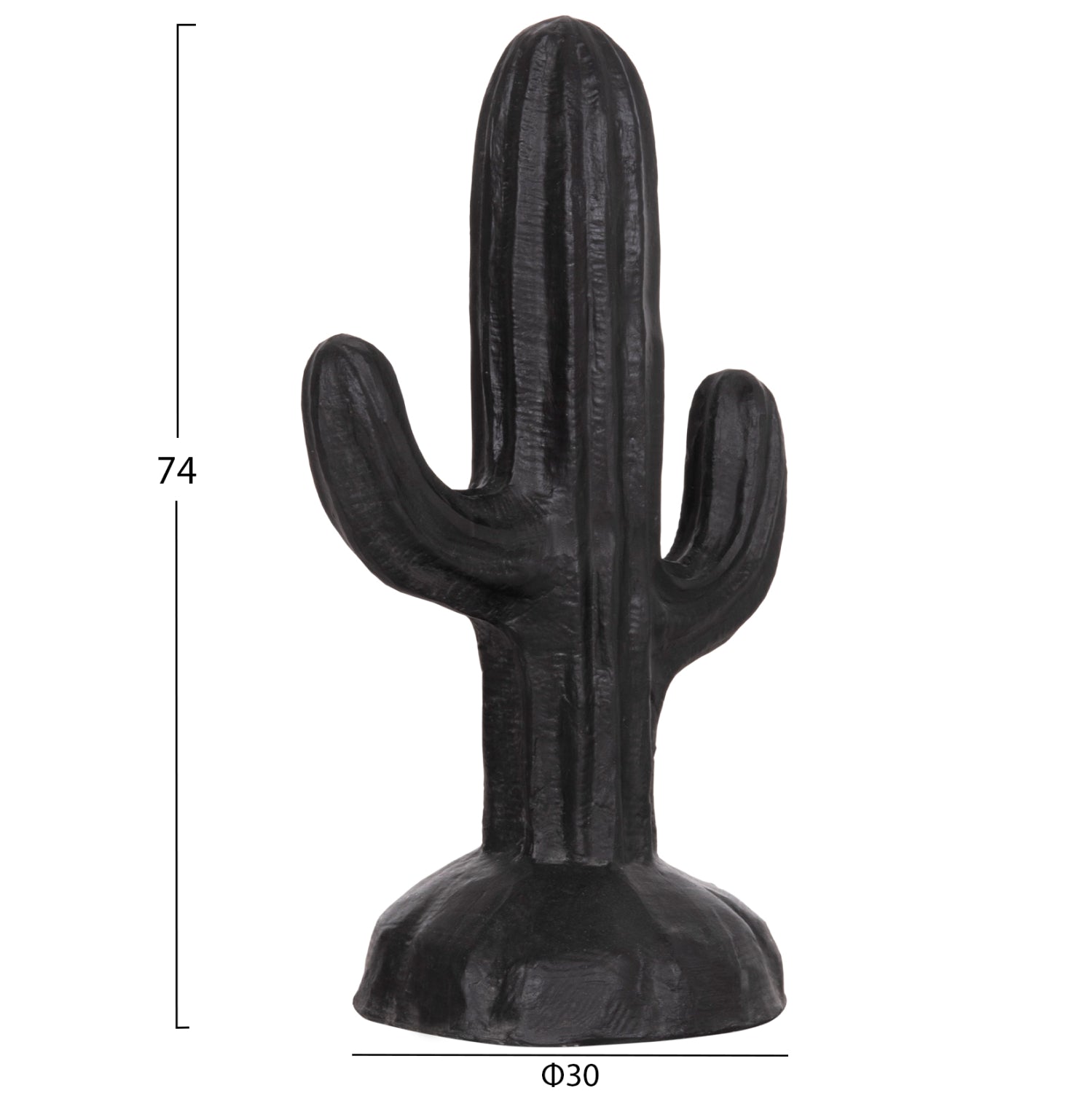 ΔΙΑΚΟΣΜΗΤΙΚΟΣ ΚΑΚΤΟΣ ΔΑΠΕΔΟΥ CACTUS HM4386.01S ΓΥΨΟΣ ΣΕ ΜΑΥΡΟ 42x30x74Υεκ.