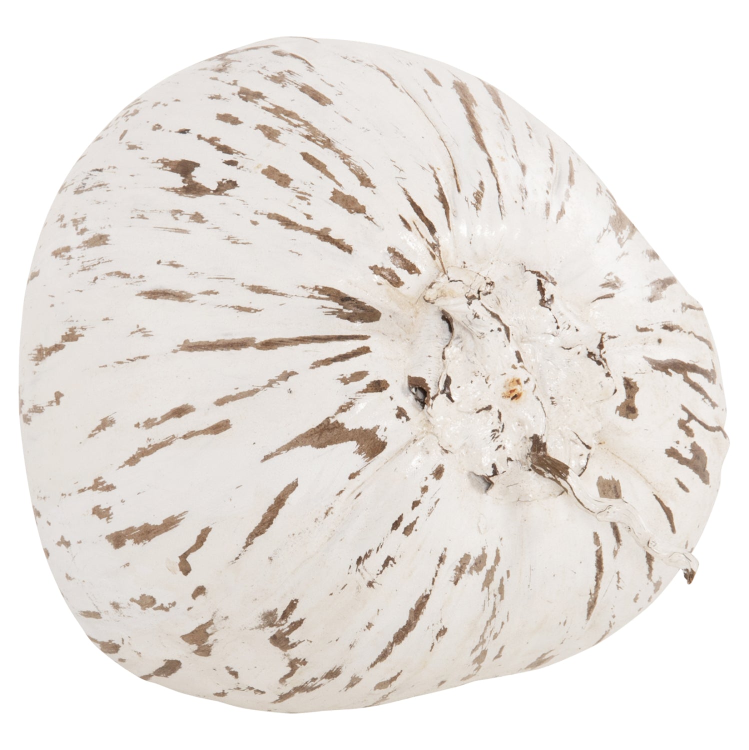 ΕΠΙΤΡΑΠΕΖΙΟ ΔΙΑΚΟΣΜΗΤΙΚΟ HM4326.05 ΚΑΡΥΔΑ ΣΕ ΛΕΥΚΟ ΧΡΩΜΑ 20x20x20Υεκ - Pakobazaar