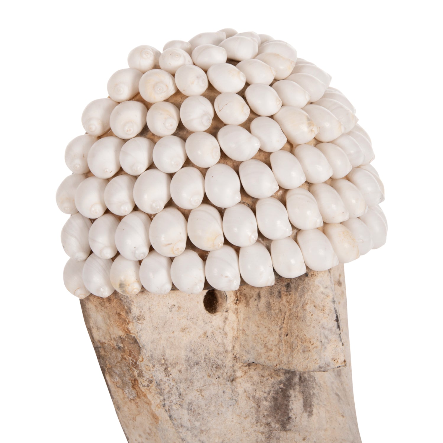 ΕΠΙΤΡΑΠΕΖΙΟ ΔΙΑΚΟΣΜΗΤΙΚΟ ΠΡΟΣΩΠΟ HM4314 ΞΥΛΟ-ΜΕΤΑΛΛΙΚΗ ΒΑΣΗ-ΚΟΧΥΛΙΑ 16x11x32Yεκ. - Pakobazaar