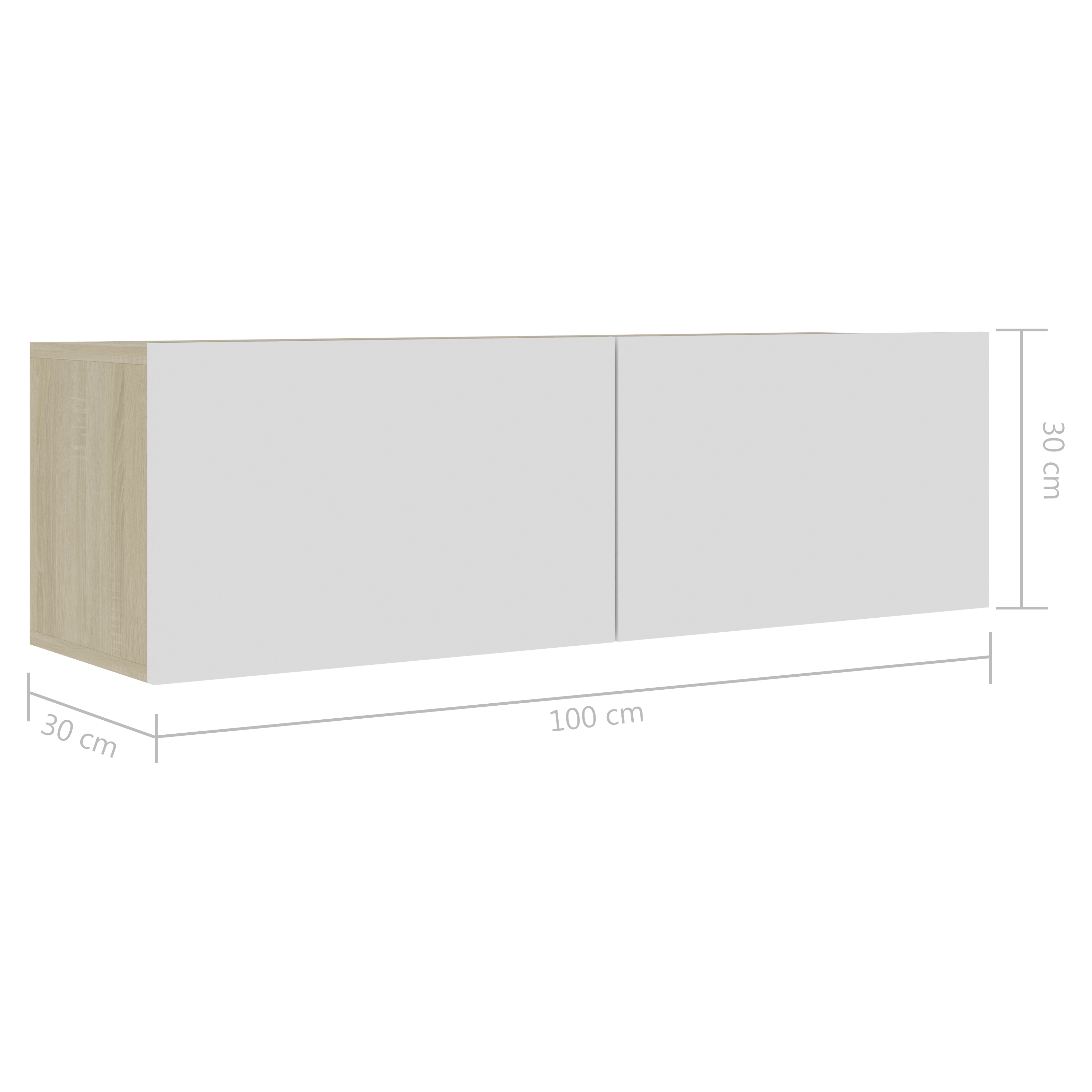 | Ντουλάπι TV | Λευκό 100 x 30 x 30 cm Επεξεργασμένο ξύλο