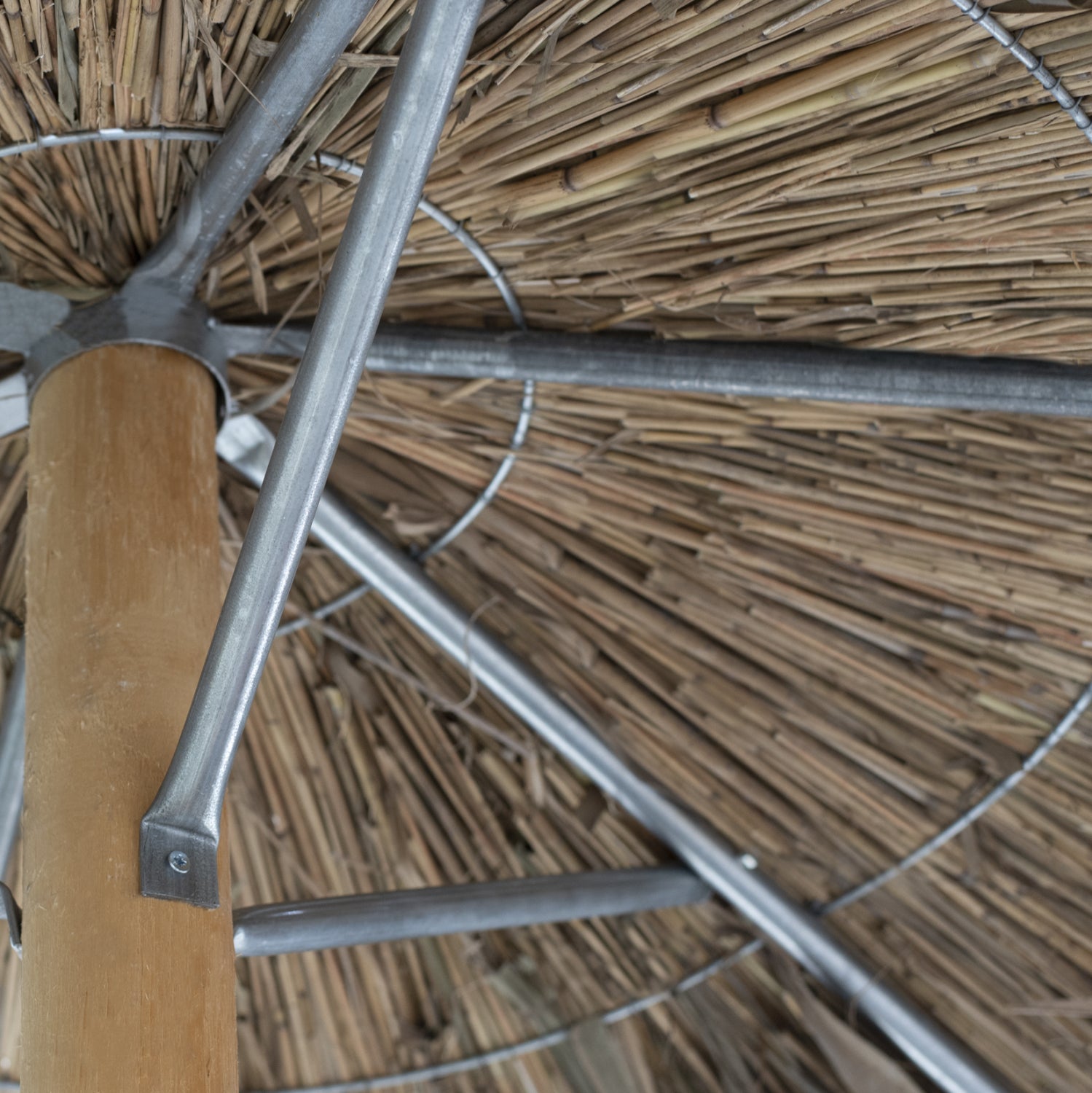 ΟΜΠΡΕΛΑ ΨΑΘΙΝΗ ΤΡΟΠΙΚΗ ΜΕ ΑΝΤΗΡΙΔΕΣ Φ240x270Υ εκ.HM5897 - Pakobazaar