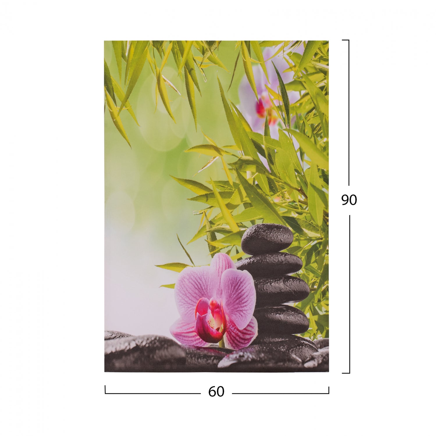 ΠΙΝΑΚΑΣ ΚΑΜΒΑΣ FLOWER HM7154.08 60X90X2.5 εκ. - Pakobazaar
