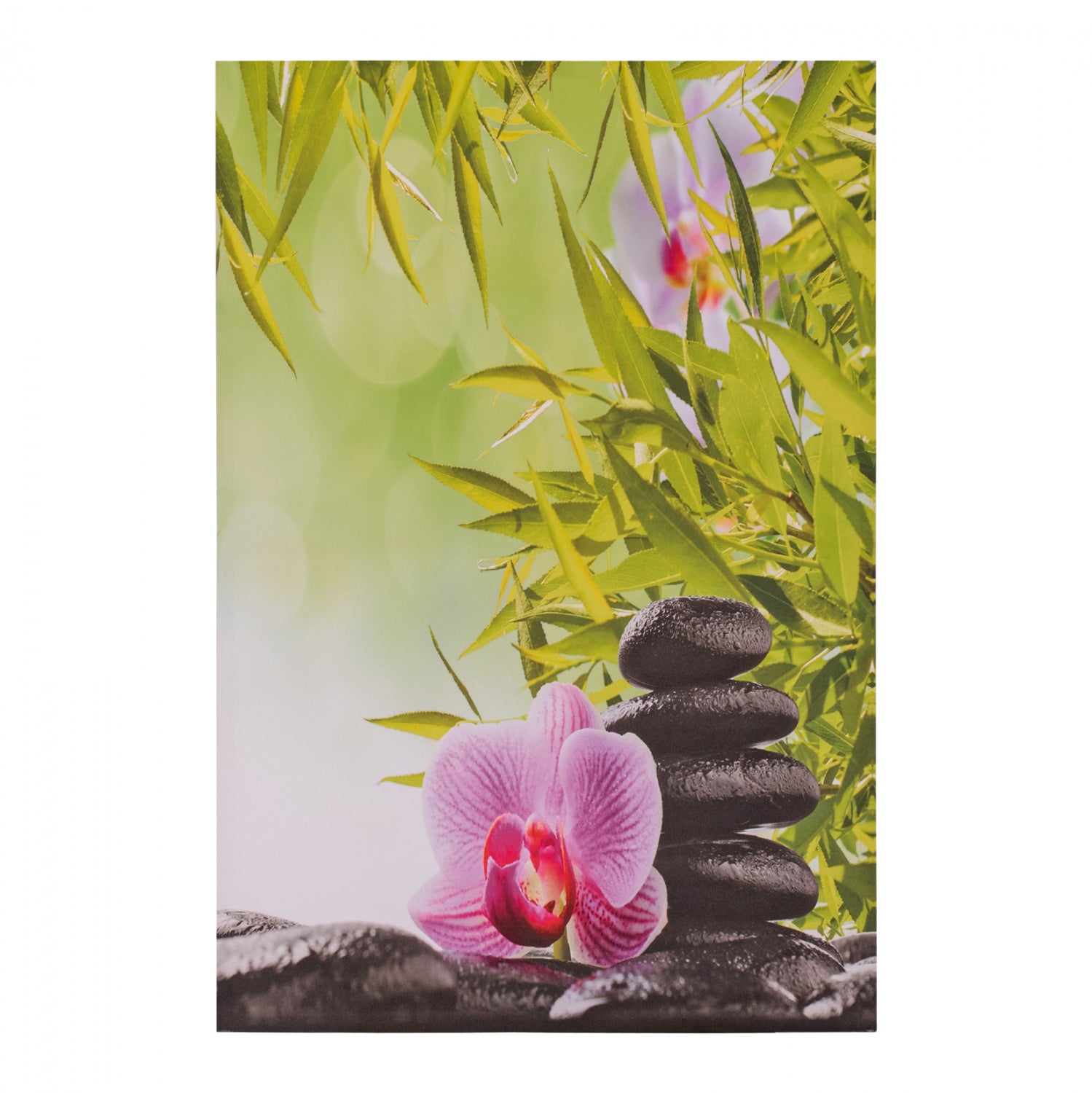 ΠΙΝΑΚΑΣ ΚΑΜΒΑΣ FLOWER HM7154.08 60X90X2.5 εκ. - Pakobazaar