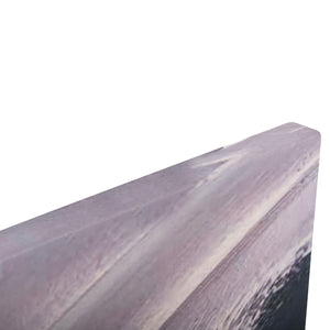 ΠΙΝΑΚΑΣ TOIXOY ΣΕΙΡΑ GOBI HM4856 ΕΚΤΥΠΩΜΕΝΟΣ ΚΑΜΒΑΣ 98x2,5(πάχος)x68Υεκ. - Pakobazaar