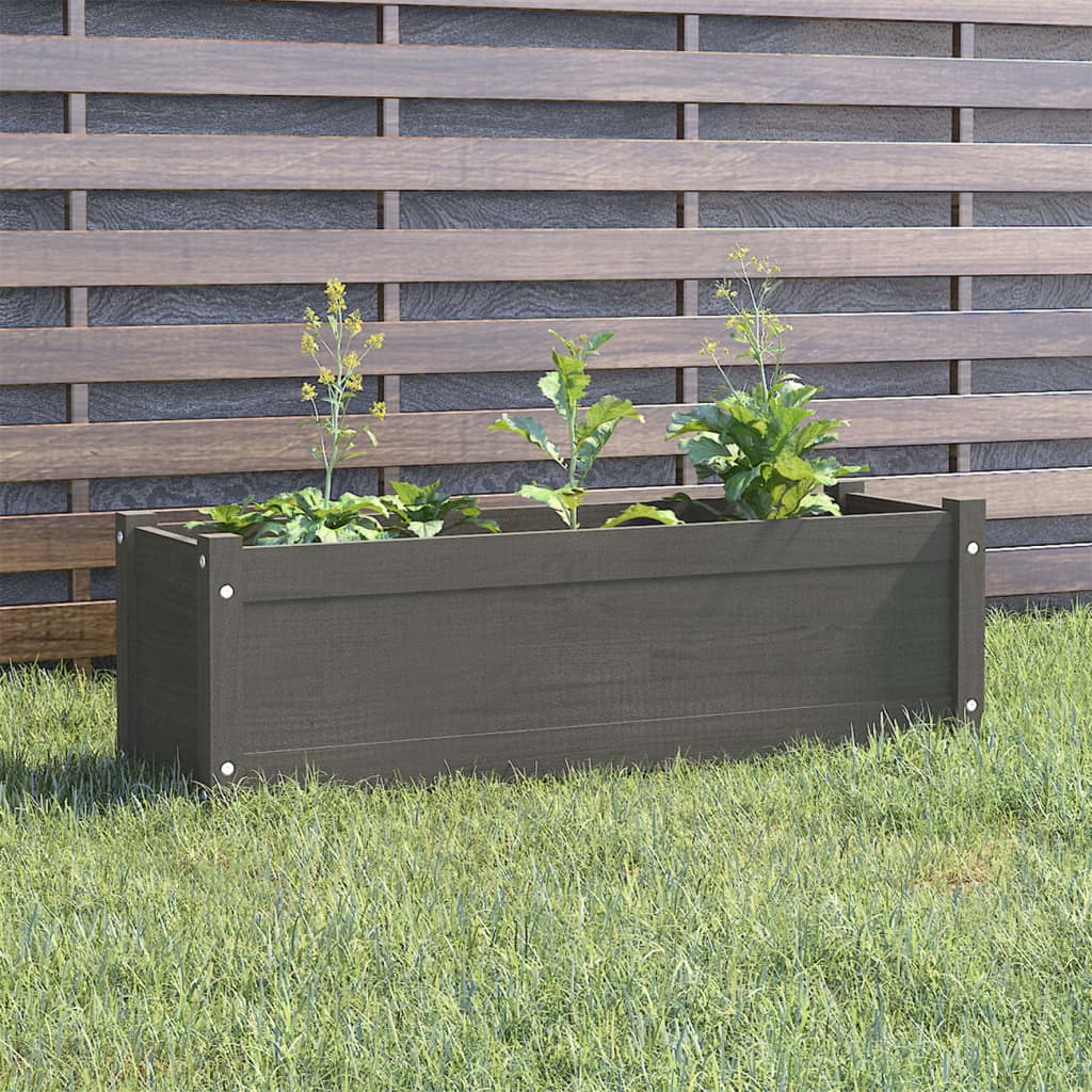 Garden Planter Grey 100x31x31 cm Solid Pinewood