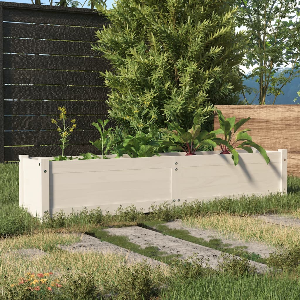 Garden Raised Bed White 150x31x31 cm Solid Pinewood